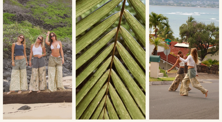Island Palm Collection