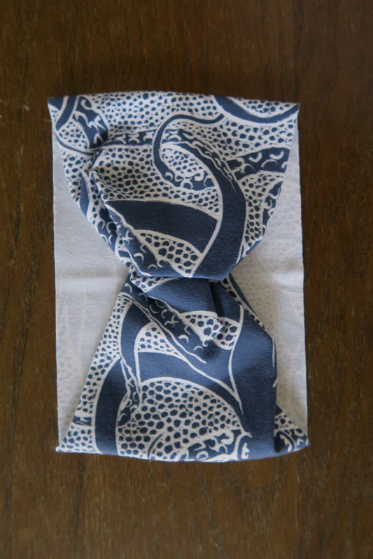 Blue Tako