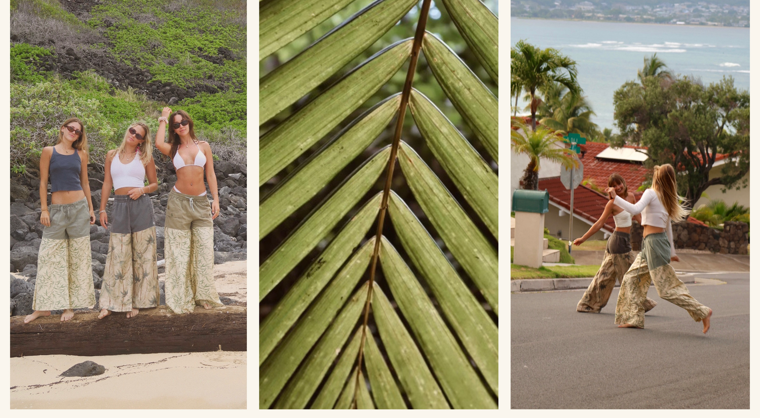 Island Palm Collection