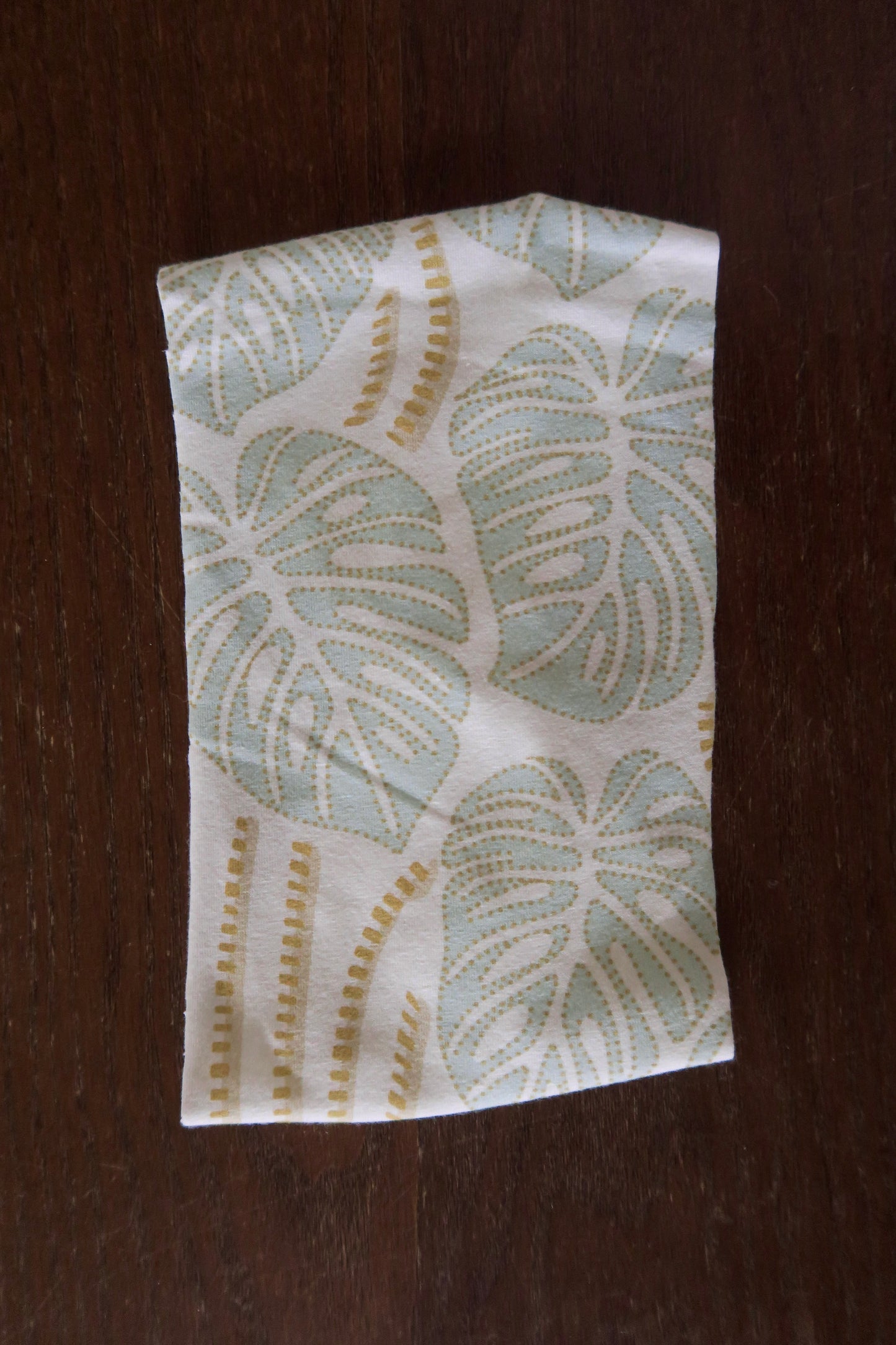 Blue Monstera