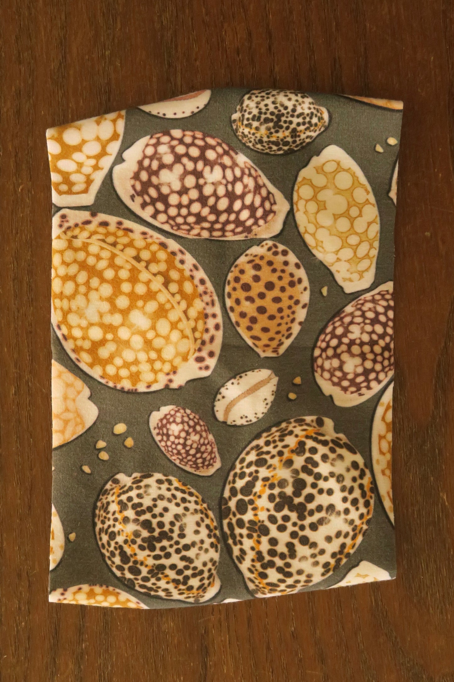 Midnight Cowrie