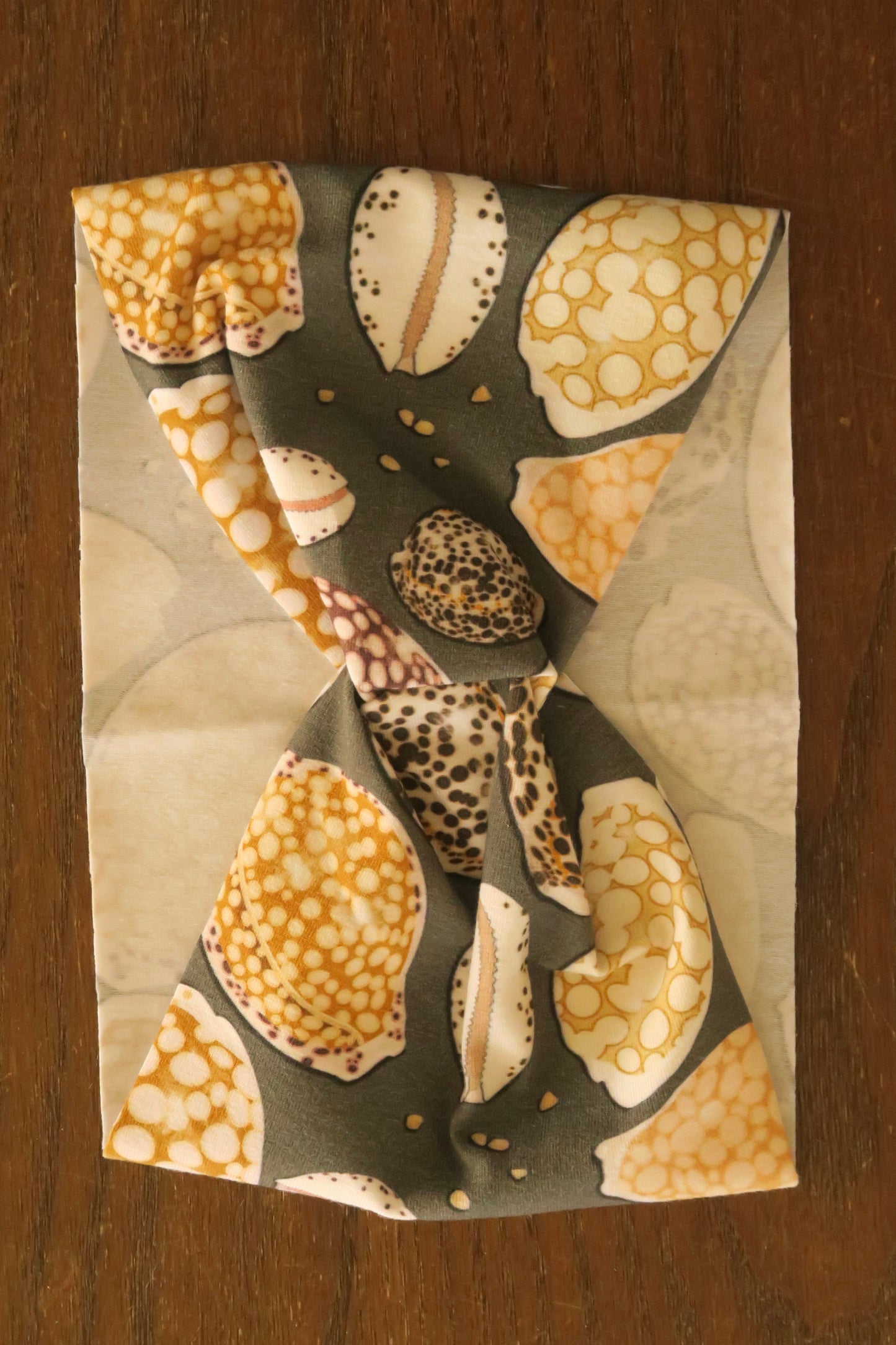 Midnight Cowrie