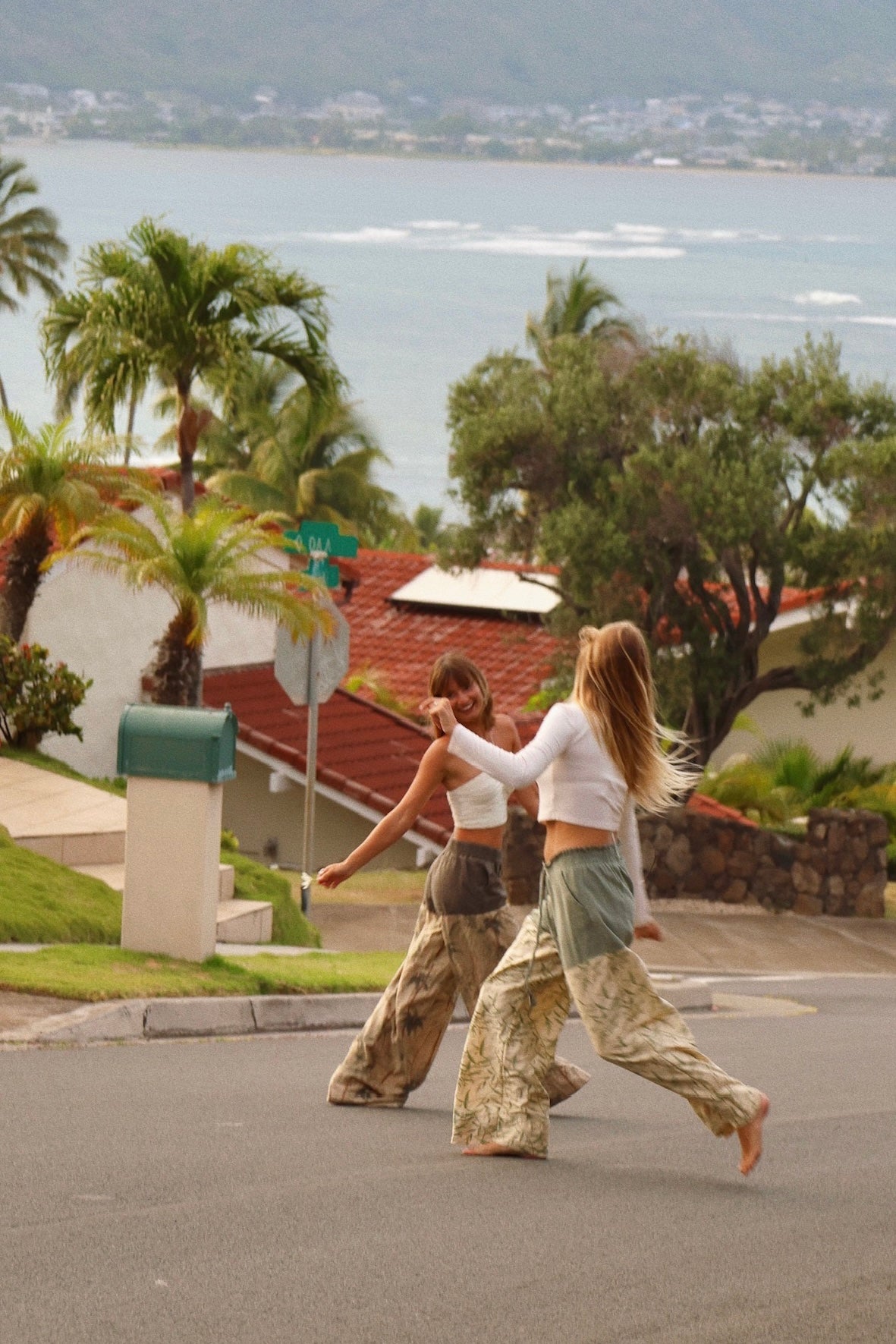 Island Palms