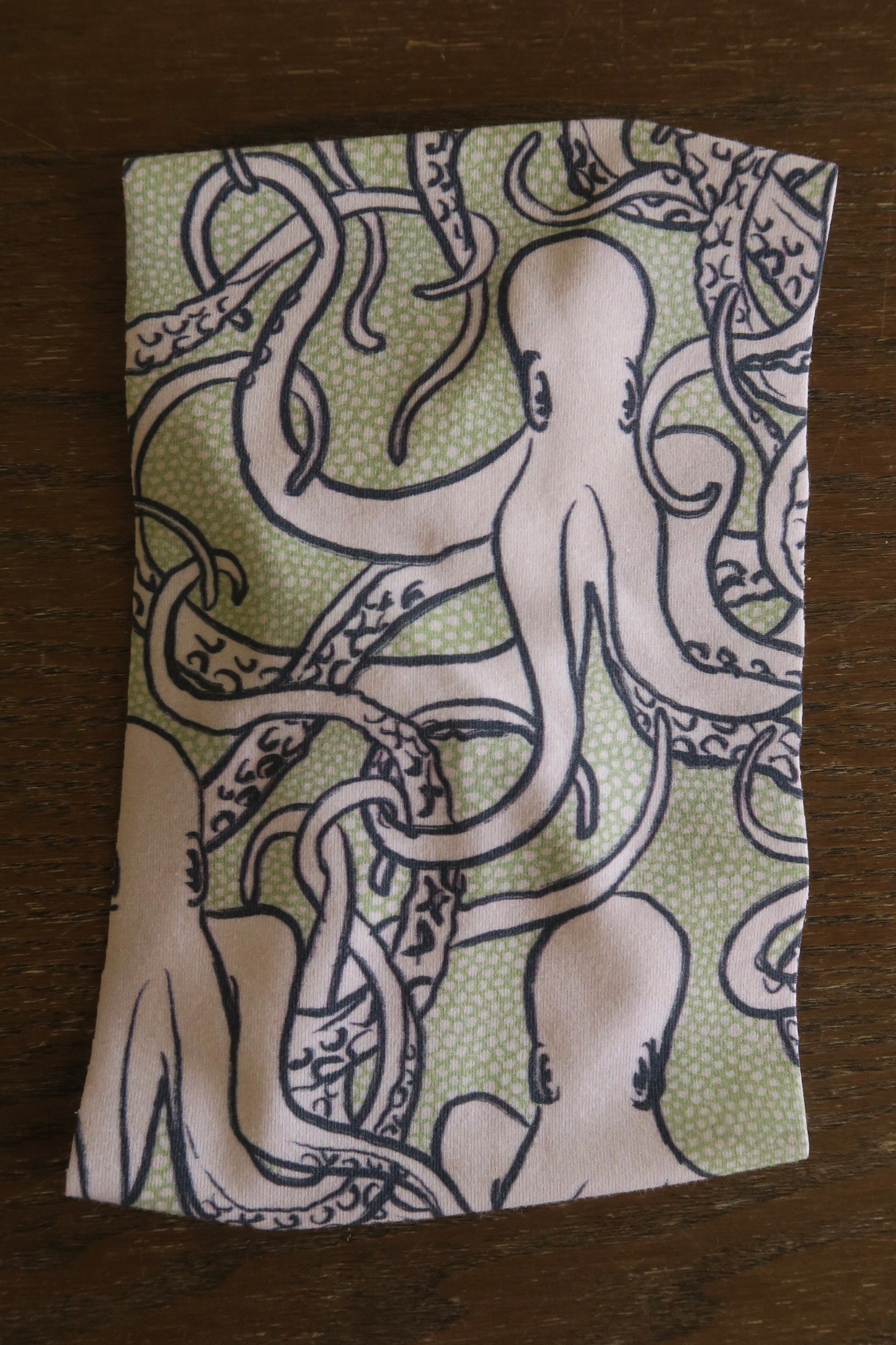 Arctic Tako