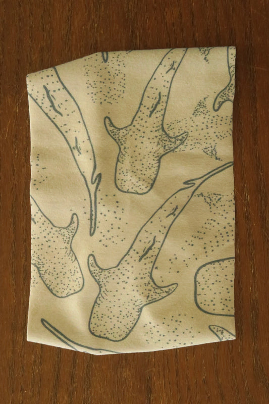 Arctic Whale-Shark