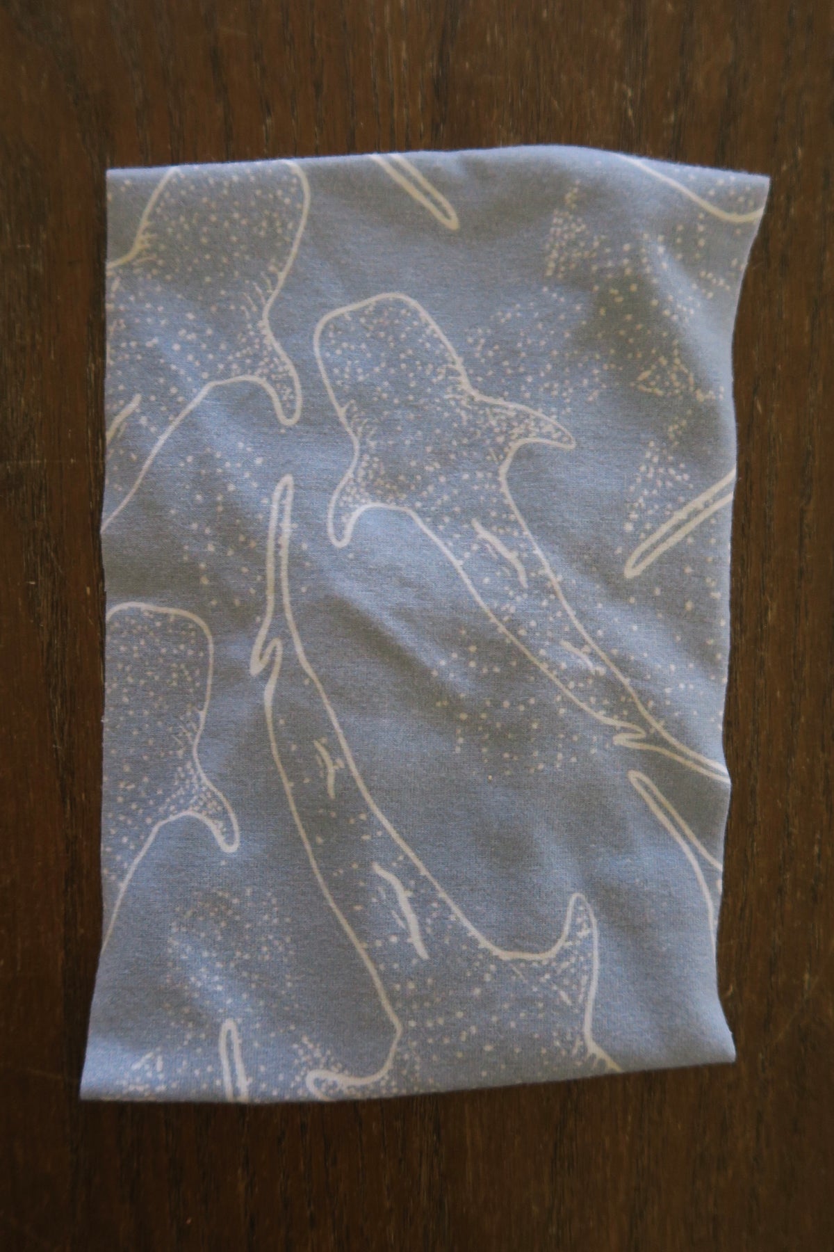 Light Blue Whale Shark